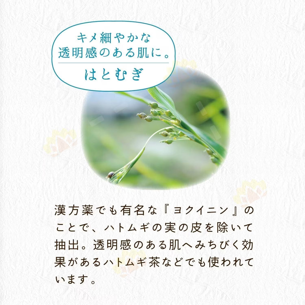 Kosê Clear Turn Bihada Shokunin Coix Seed Brightening Mask | 30 Sheets