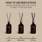 hetras Premium Reed Diffuser Set (500ml x 2)