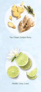 Onsensou Golden Silk Hair Mask hair damage